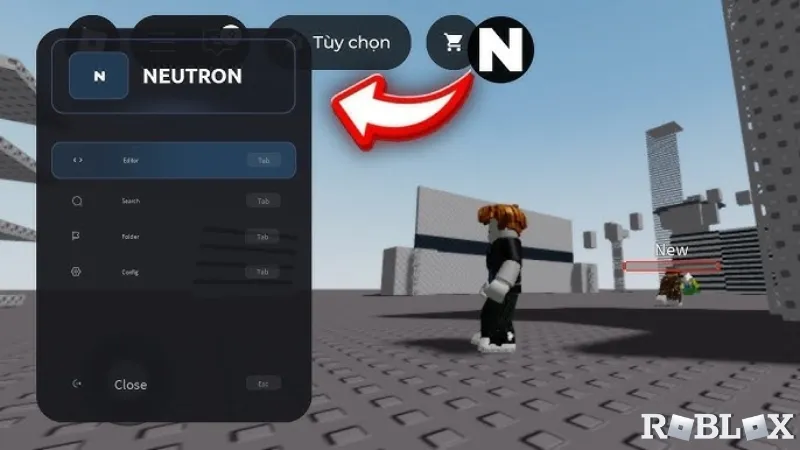 Gioi Thieu Ve Neutron Executor VNG