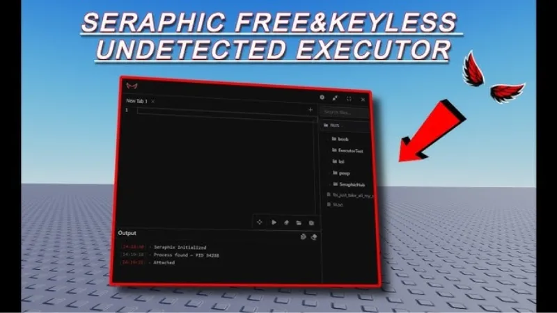 Giới Thiệu Về SeraphiX Executor